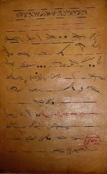 Edith de Chiara - Documenta