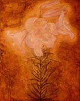 Florentina and Fibonacci