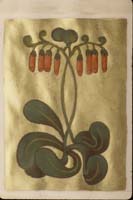 Patricia Miranda Botanical Series Panel Paintings